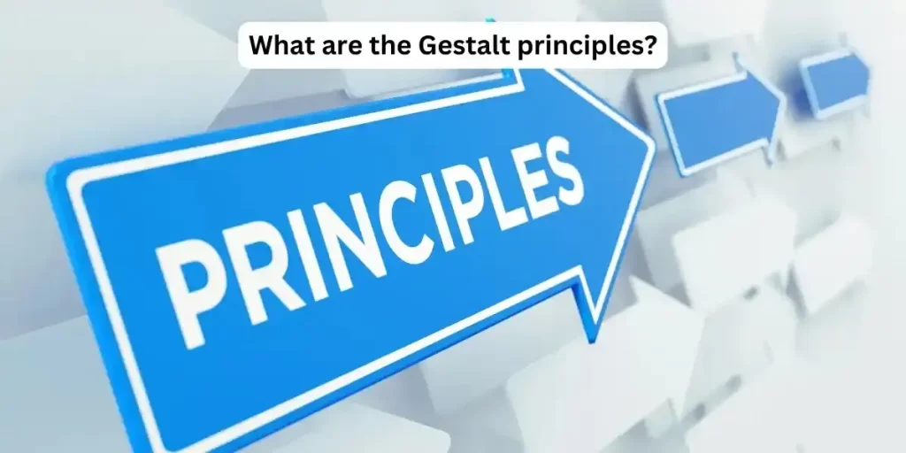 What are the Gestalt principles? 2 Gestalt principles