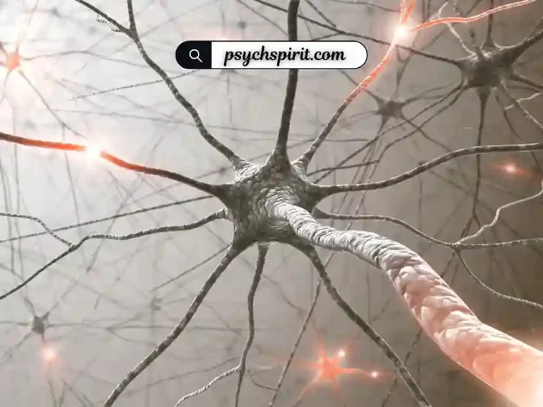 Peripheral Nervous System: Key Functions 3 Peripheral Nervous System: Key Functions