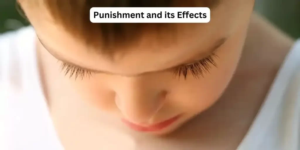 Punishment and its effects 11 Punishment and its effects