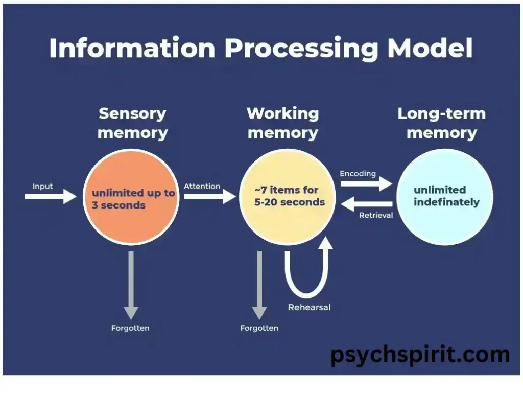 What are the Types of Learning? 14 psychspirit.com 3