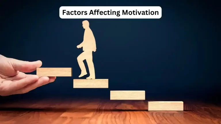Factors Affecting Motivation 3 Factors Affecting Motivation