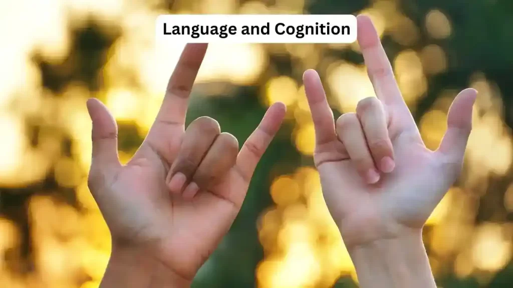 Language and Cognition in Psychology 14 Language and Cognition in Psychology