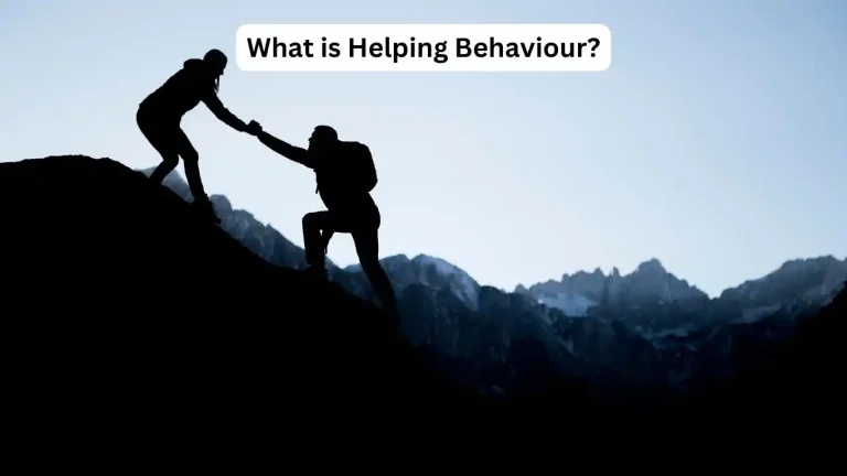 Best 9 Ways of Helping Behaviour in psychology 2 Helping Behaviour in psychology