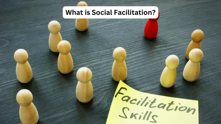 12 Best Ways of Social Facilitation in Psychology 6 what is Social Facilitation