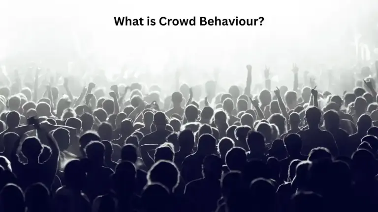 Crowd Behaviour in Psychology 7 Crowd Behaviour in Psychology